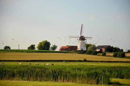 Brouckmolen